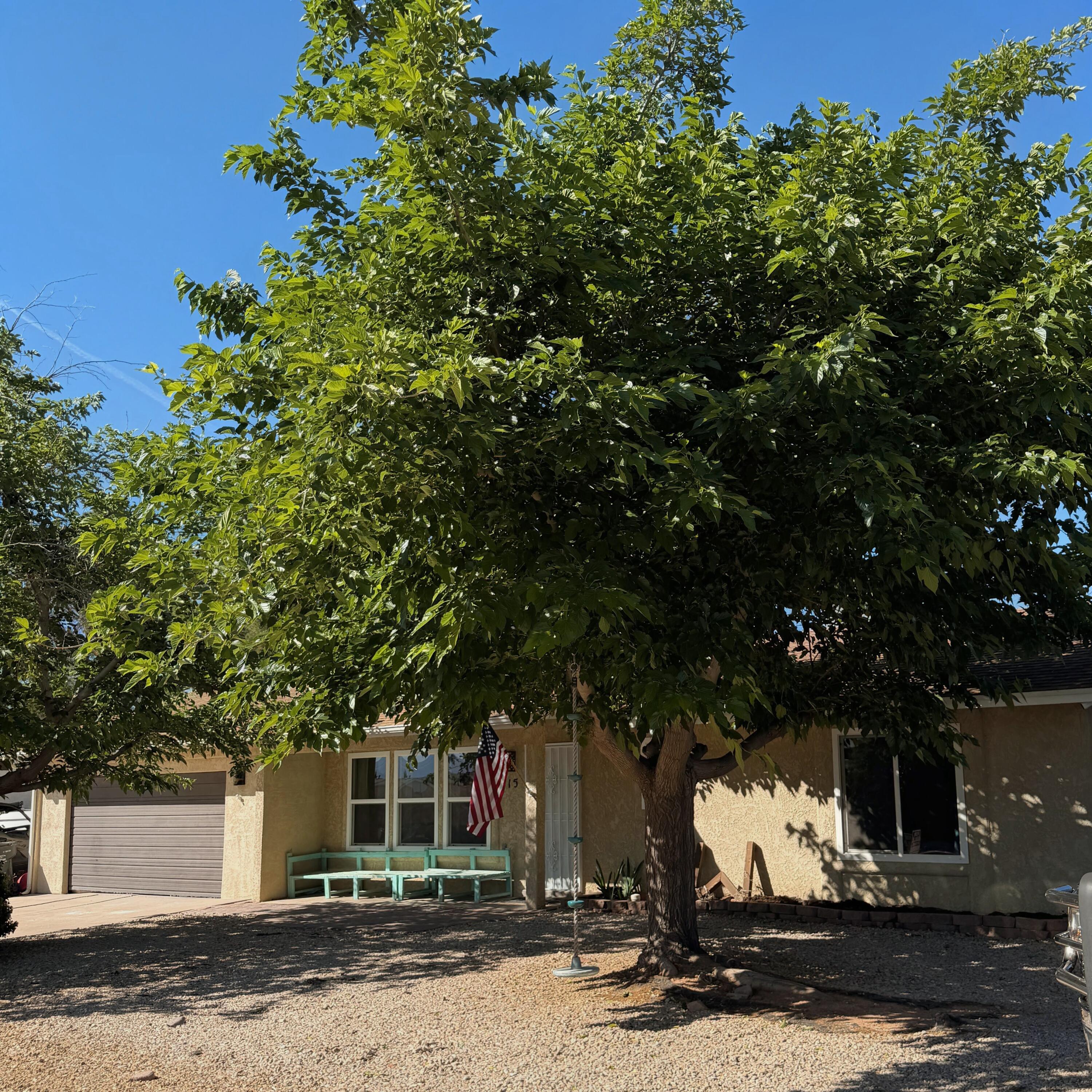 BUENA VISTA - Residential