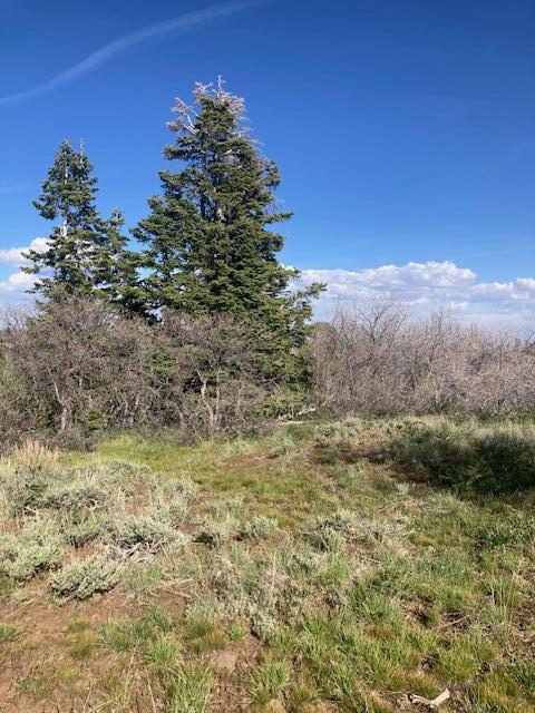 WHISPERING PINES SUB - Land
