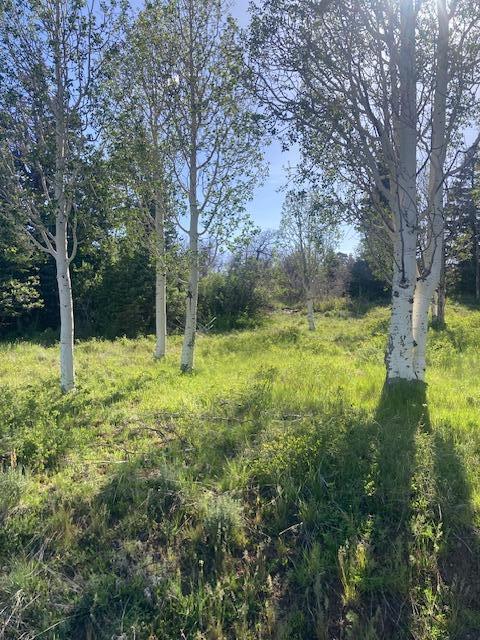 WHISPERING PINES SUB - Land