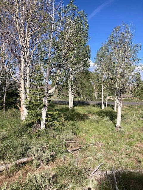 WHISPERING PINES SUB - Land
