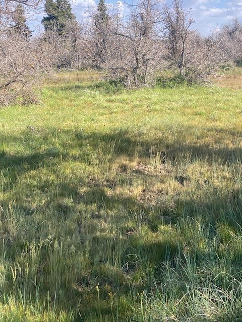 WHISPERING PINES SUB - Land
