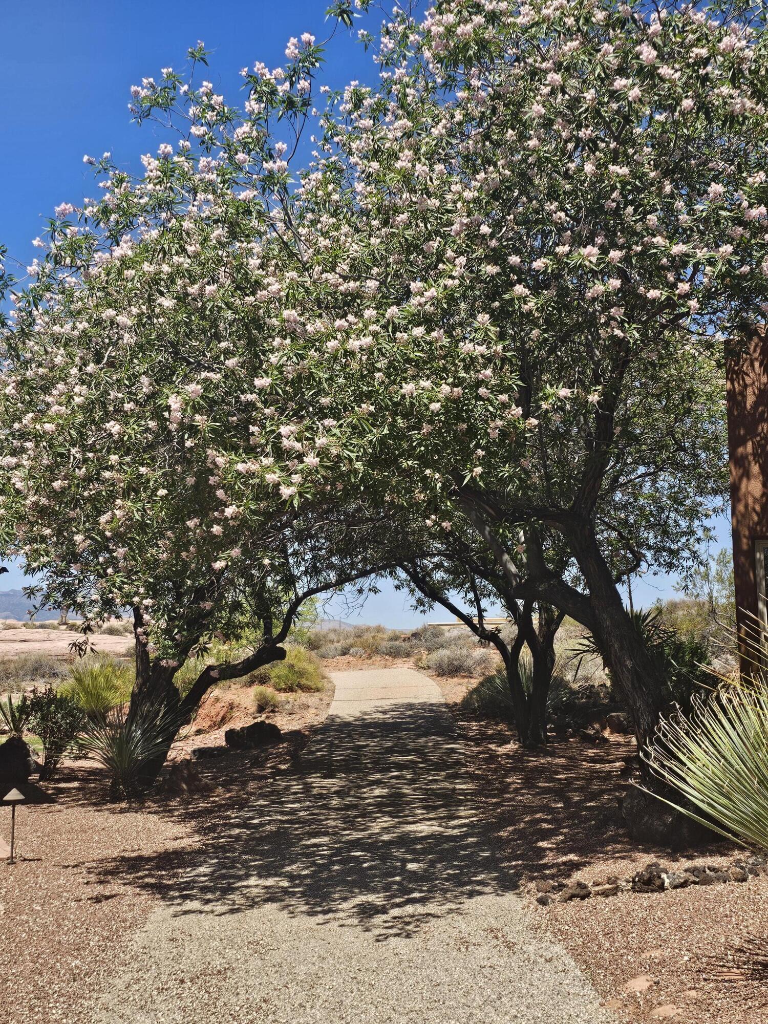 SAND POINT AT ENTRADA - Residential