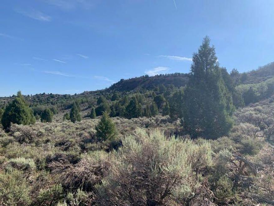 20 Acres, private & secluded. Near the junction of Hwy 14 and Hwy 89 in Long Valley. Awesome views & easy access. Perfect for cabin or small ranch. Fenced on 2 sides.