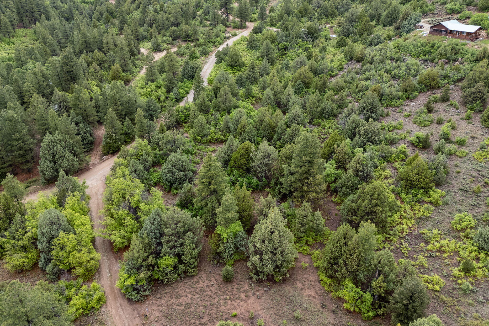 ZION PANORAMA - Land
