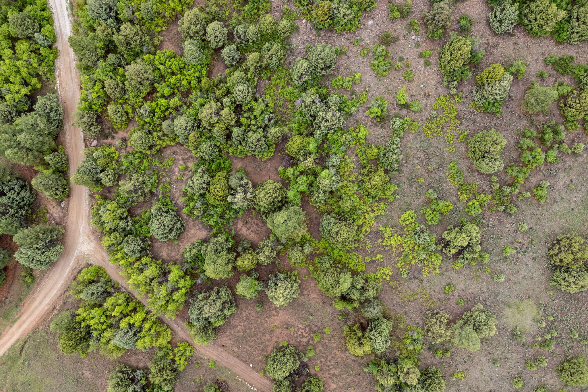 ZION PANORAMA - Land