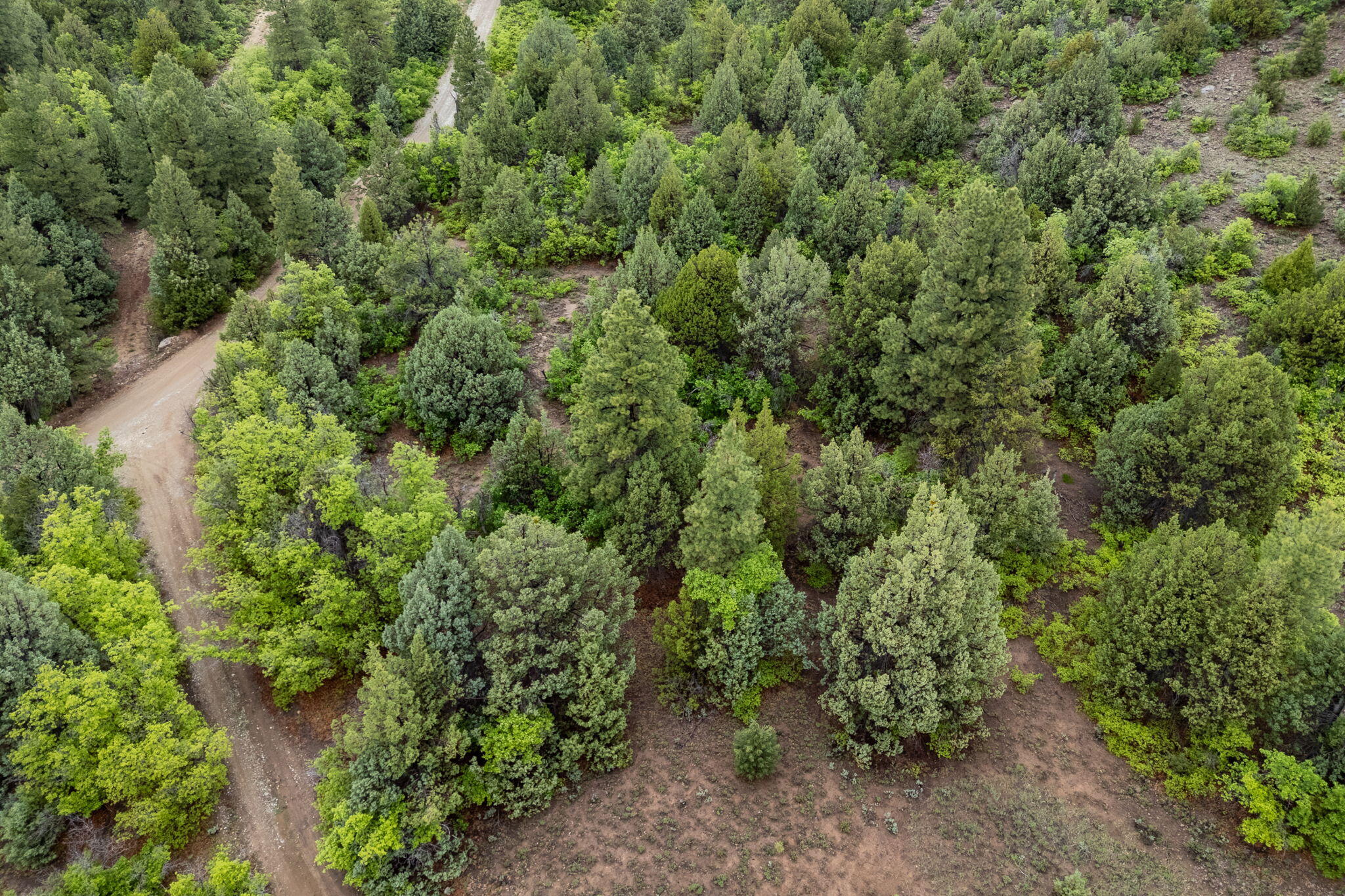 ZION PANORAMA - Land
