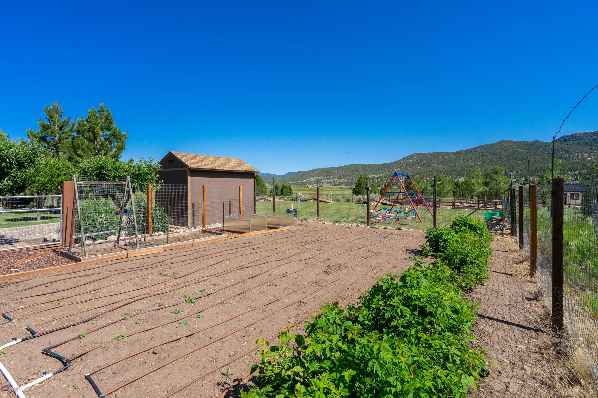 SPRING CREEK PINES - Residential