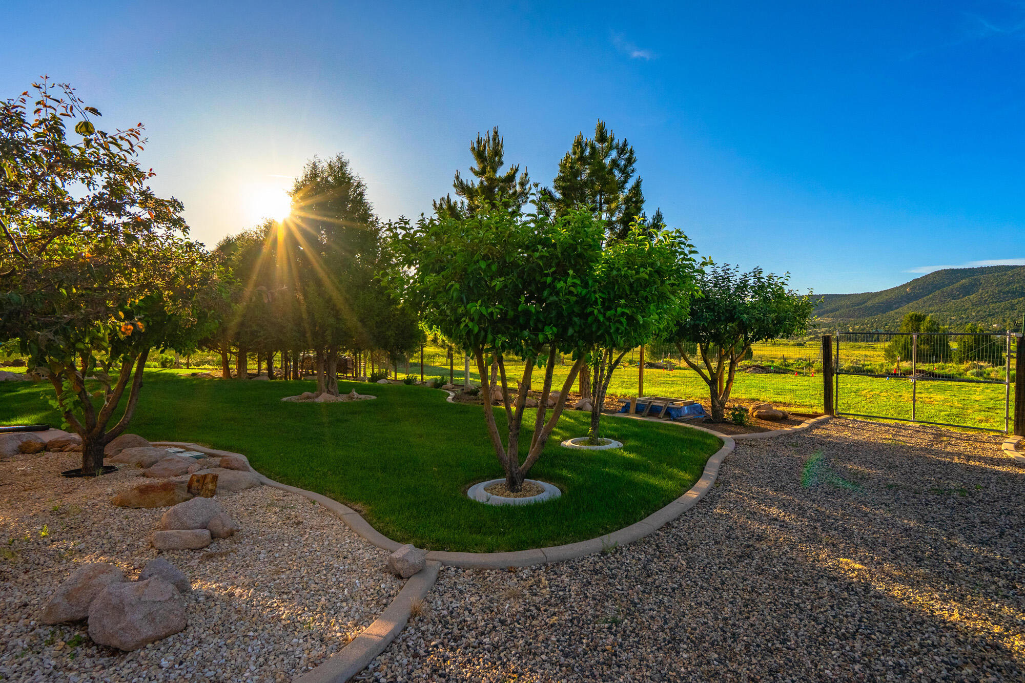 SPRING CREEK PINES - Residential