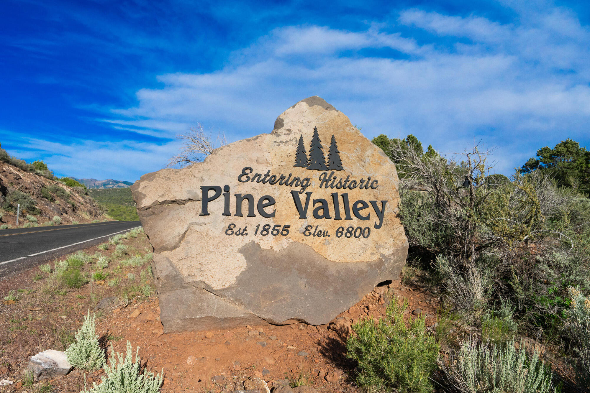 SPRING CREEK PINES - Residential