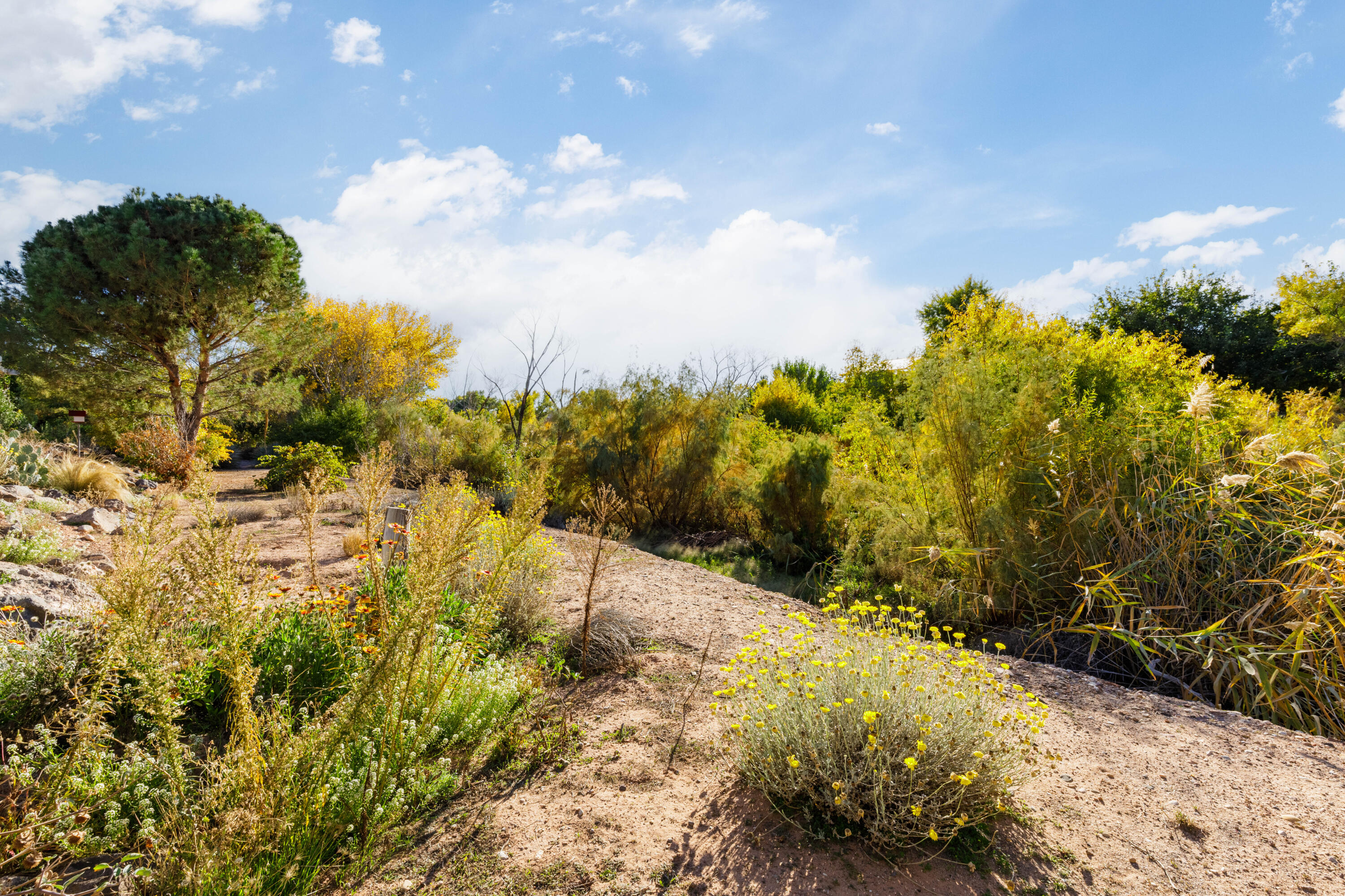 SHADOW CREEK - Residential