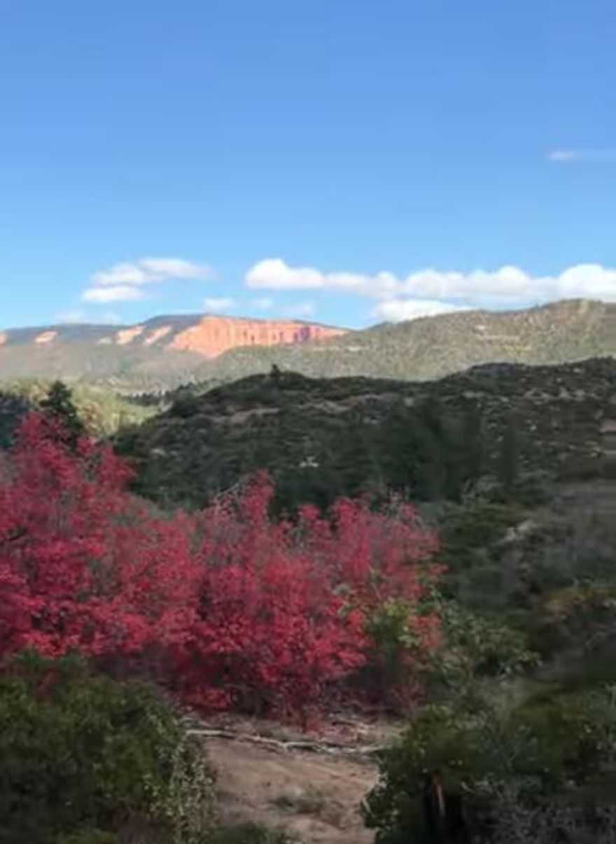 Untouched beauty & boundless views minutes from Duck Creek Village!
Tucked above the cliffs of North Fork near the heart of Millet Point Canyon, this rare offering includes two scenic adjoining lots totaling 22 acres, ready for your dream off-grid cabin, weekend basecamp, or long-term investment in the fast-growing Duck Creek area. With no HOA and zoning that supports recreational, grazing, or cabin use, your options are as wide open as the 180° panoramic views you'll enjoy from sunrise to sunset. With land values appreciating roughly 20% annually in this area, this is more than a homesite, it's a legacy. Own your view. Own your space. Bordered by BLM land to the south, private land to the east, and church-owned property to the west, this secluded spot promises unparalleled privacy and unbeatable vistas of Strawberry Point, Zion National Park, and the Grand Staircase Escalante. To the north, soak in direct views of the majestic Markagunt Plateau.
Located just an hour from Zion, Bryce Canyon, and Cedar Breaks, and surrounded by thousands of miles of hiking and ATV trails, this land is a nature lover's paradise. Wildlife roams freely so expect visits from white-tailed deer and wild turkeys, and the terrain offers a beautiful blend of towering pines and native brush.
Accessed by three routes (the quickest via Hay Canyon Road behind Navajo Lake), the gated road is seasonally maintained by Kane County. Water collection of up to 2,500 gallons/year is allowed with registration, making off-grid living even more attainable.