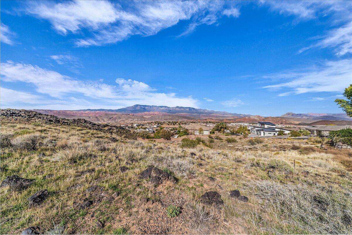 PAINTED HILLS RLINGTON HEIGHTS - Land