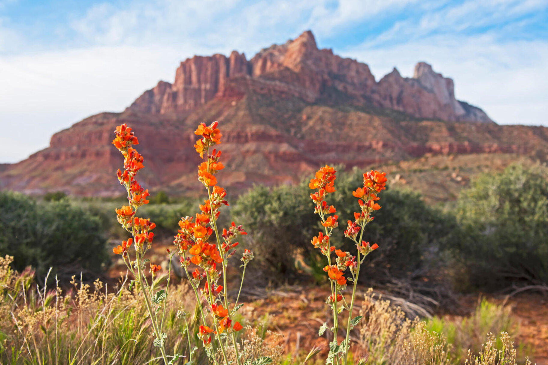 ANASAZI PLATEAU - Land