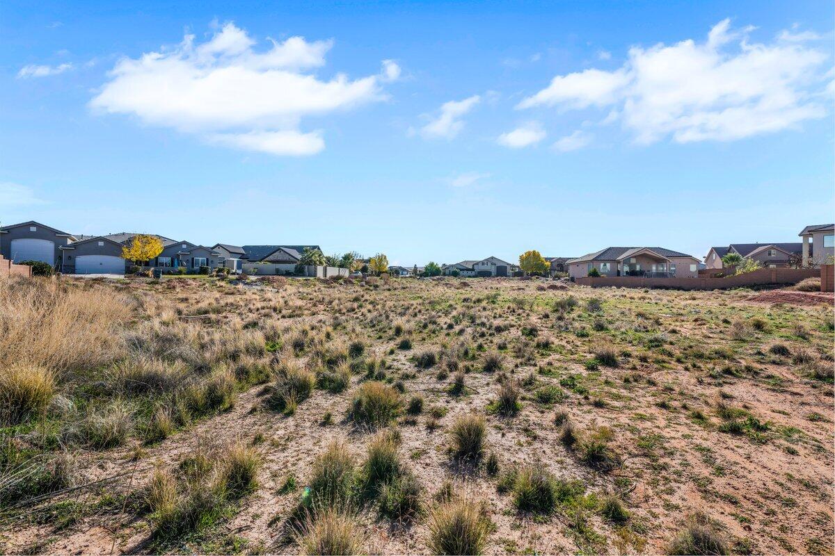 DIXIE SPRINGS - Land