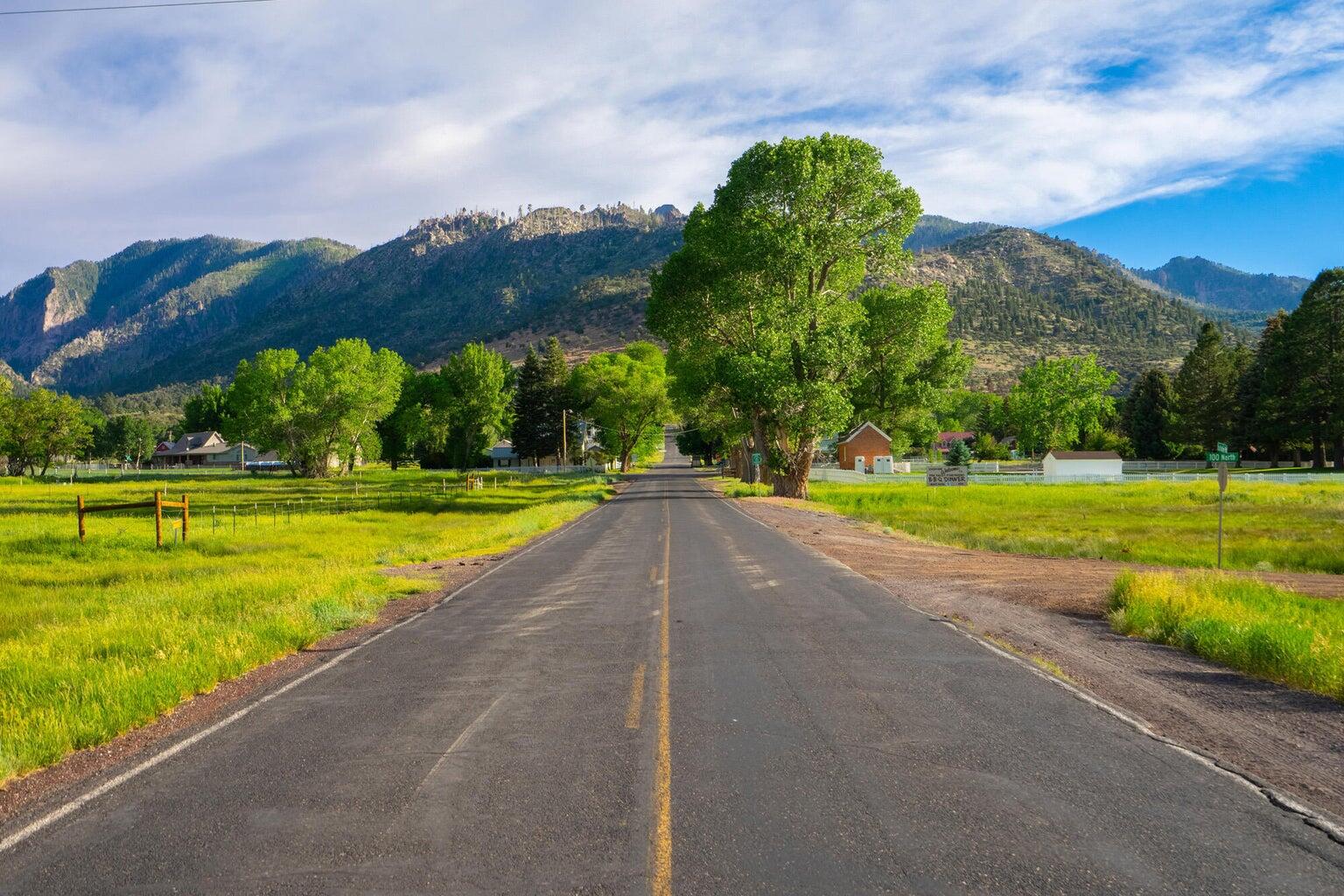 SPRING CREEK PINES - Residential