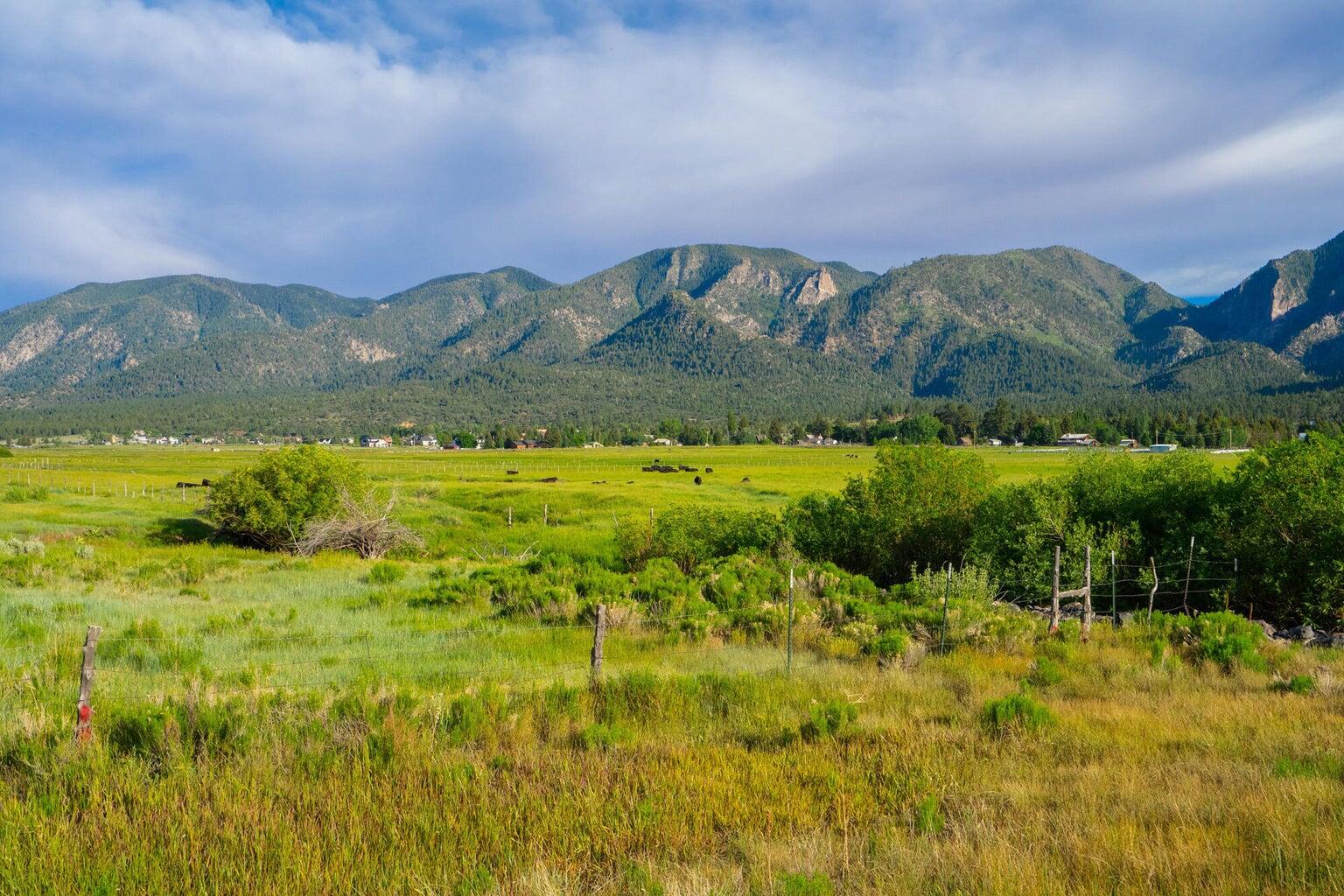 SPRING CREEK PINES - Residential