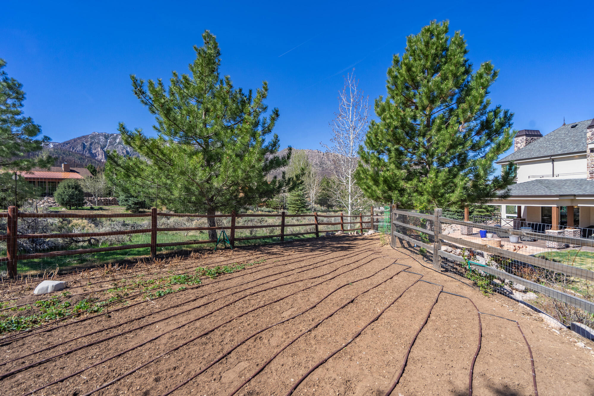 SPRING CREEK PINES - Residential