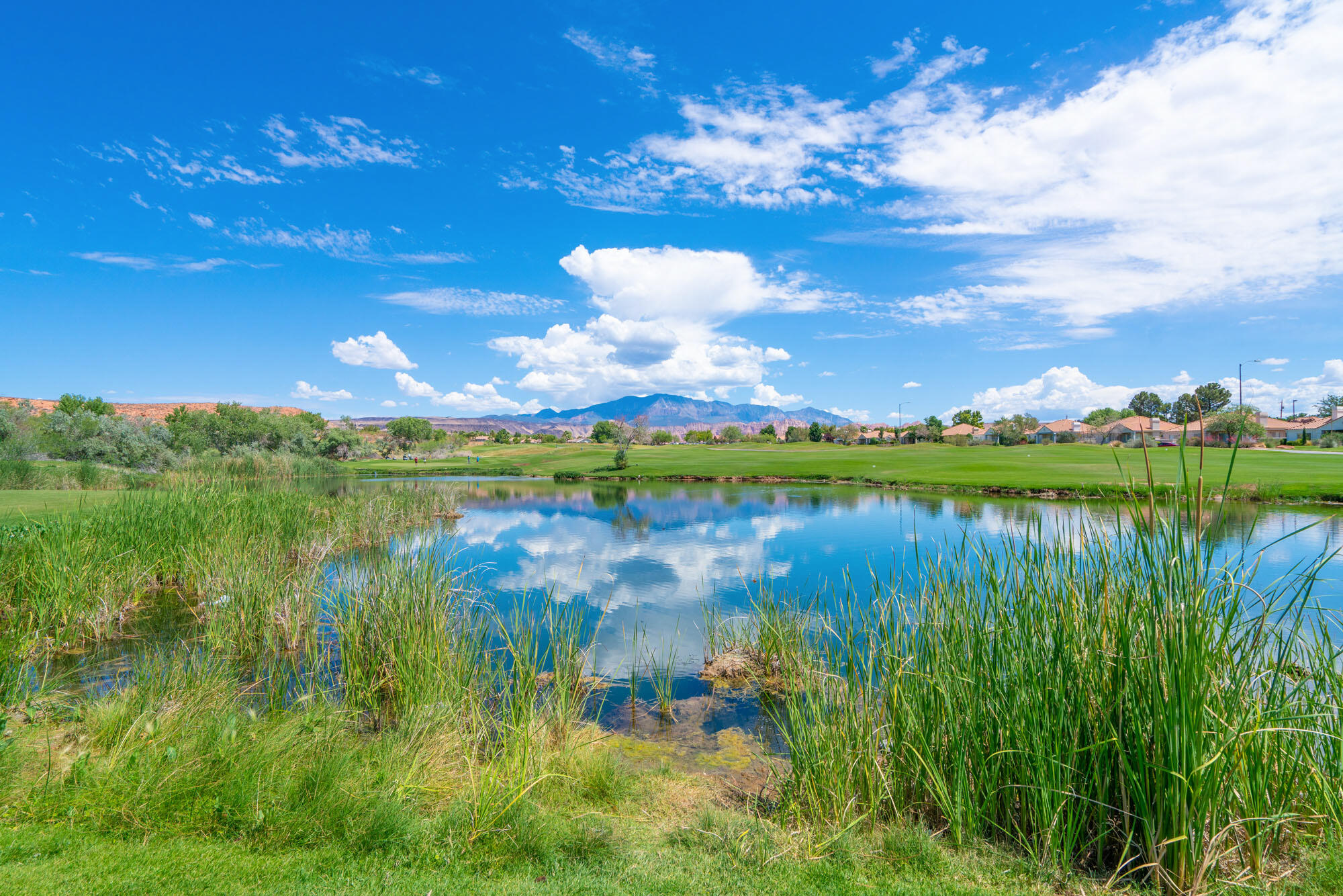 VILLAS AT GREEN SPRING - Residential