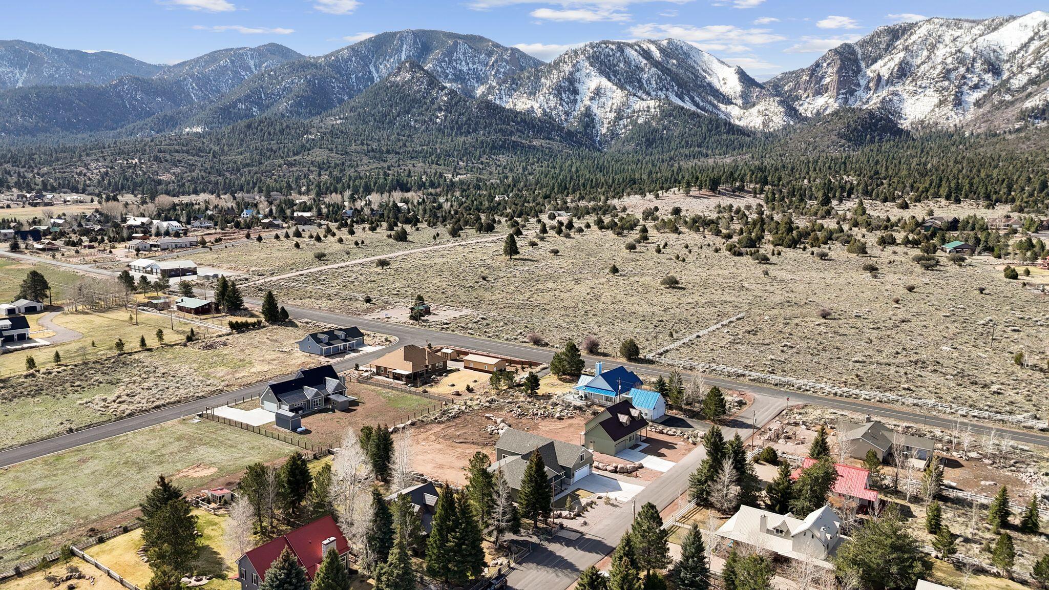 PINE VALLEY MEADOWS - Residential