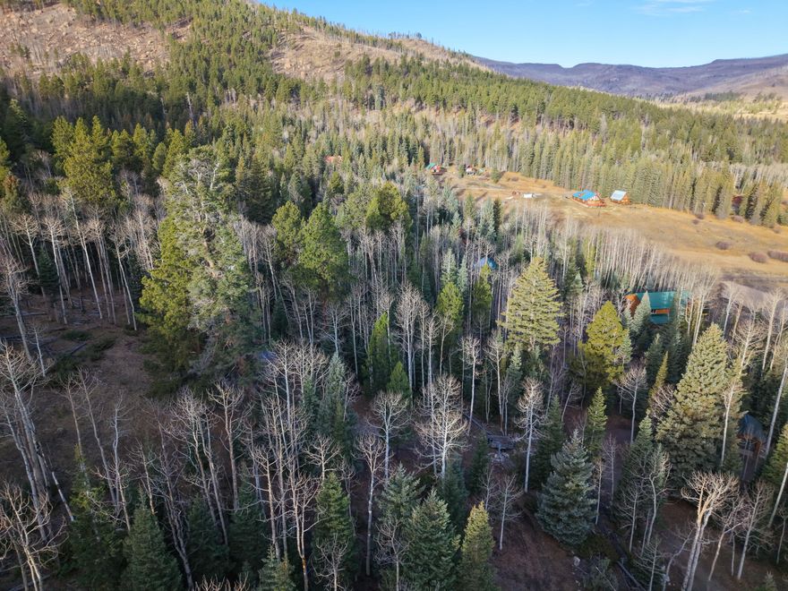 These Clear Creek Estates lots stand out from the rest of the subdivision with something truly rare: direct access to Dixie National Forest right behind the property line. Only a handful of lots in this area back up to thousands of acres of public land, and these are among them. They are also build-ready, with power available and water supplied through a seller-operated, state-approved water company known locally for its clean, refreshing mountain quality and taste. And while nearby areas like Duck Creek have become busier and more expensive, this quieter pocket near Panguitch Lake remains more affordable and less discovered.
A nearby stream and sweeping high-country views create an ideal setting for your cabin, getaway, or long-term mountain investment. Enjoy cool summer temperatures, crisp mountain air, and endless outdoor recreationfishing, boating, hiking, ATV riding, dirt biking, horseback trails, winter fun at Brian Head Resort, and the stunning wonders of Cedar Breaks, Bryce Canyon, Zion National Park, Escalante, and the popular Duck Creek Village area. "Panguitch" comes from the Paiute word for "big fish," and the region lives up to its name with excellent trout fishing and year-round adventure.
Whether you're dreaming of a cozy cabin or a peaceful retreat away from city life and desert heat, this location delivers. Nearly year-round access, natural surroundings, and proximity to some of Southern Utah's most iconic landscapes make these lots a standout opportunity.
Seller is willing to build to suit, or you may bring your own builder. Seller financing available.