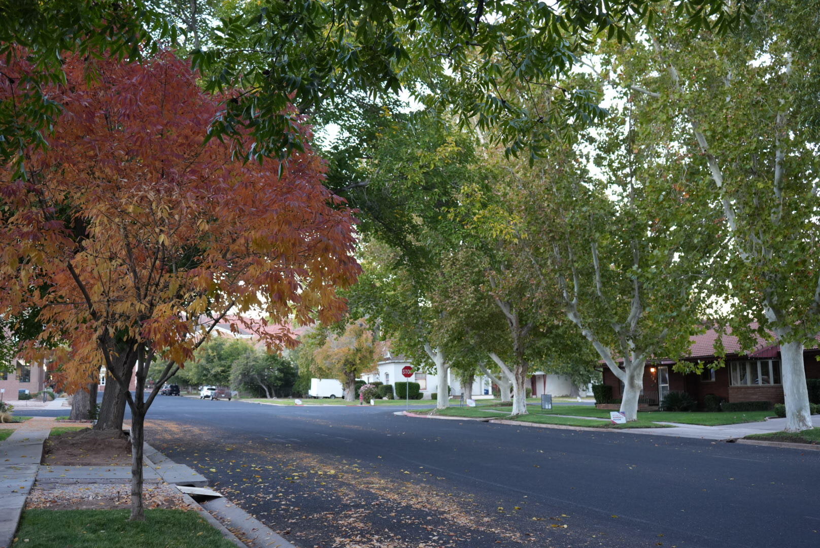 ST GEORGE TOWNSITE - Residential