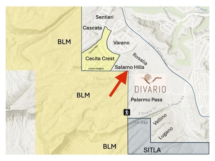 SALARNO HILLS AT DIVARIO - Residential