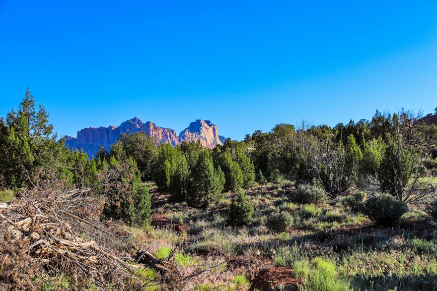 Tucked away in the rugged beauty of Southern Utah, this incredible .34-acre lot near Zion National Park offers a rare opportunity to own a truly off-the-grid piece of paradise in the Rockville area. If your clients are looking for peace, privacy, breathtaking scenery, and a place to escape the noise of everyday life, this property deserves a serious look.
Access to the property is by dirt road, and a 4-wheel drive vehicle, truck, or SUV is strongly recommended. This is not a subdivision lot with paved streets and curbs. This is Southern Utah adventure property at its finest. There are currently no utilities or services connected to the property, giving buyers the freedom to create their own recreational retreat while enjoying the untouched beauty of the surrounding landscape.

The views from this property are simply spectacular. Enjoy incredible panoramic scenery featuring iconic Southern Utah landmarks including the majestic White Throne, Eagle Crags, and sweeping valley views stretching to the south. The changing colors of the cliffs and mountains throughout the day create a setting that feels different every single time you visit.
This property would make an outstanding recreational getaway or basecamp for outdoor adventures. Bring a camper, enjoy weekends under the stars, and explore everything the surrounding area has to offer. Hiking, sightseeing, photography, ATV riding, and exploring the nearby public lands are all right at your fingertips. Opportunities like this are becoming harder and harder to find near Zion.
Whether someone is looking for a quiet place to disconnect, a private recreational retreat, or simply wants to invest in a unique piece of land near one of the most recognized national parks in the world, this lot offers tremendous potential and unforgettable scenery. BUYER TO VERIFY ALL INFORMATION