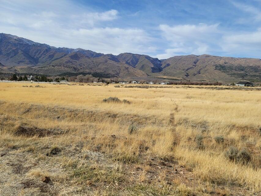 NEW HARMONY TOWNSITE - Land