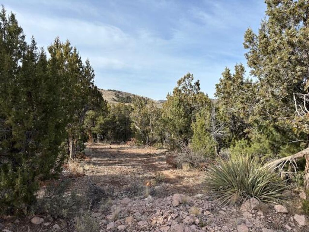 Photo of 277 N Pinion CIR, Central, UT 84722 (MLS # 26-273484)