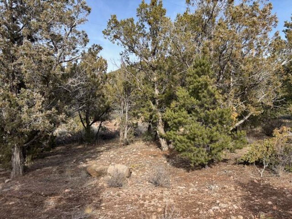 Photo of 277 N Pinion CIR, Central, UT 84722 (MLS # 26-273484)
