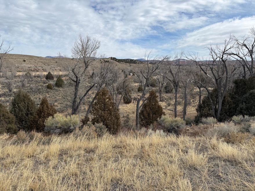 This 7.13-acre property includes 14 individual lots, all being sold together. Located in Hidden River Estates, a picturesque subdivision along the Sevier River, this property offers stunning natural surroundings. Owners can access the river through designated community common areas. Just three miles south of Panguitch, Utah, Hidden River Estates is conveniently situated off Highway 89, providing easy access to the region's breathtaking landscapes. With Bryce Canyon National Park just a short drive away, this is the perfect opportunity for those seeking both tranquility and outdoor adventure.