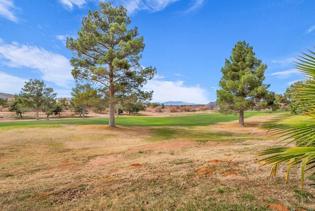 TAMARACK - ST GEORGE GOLF CLUB CONDOS - Residential