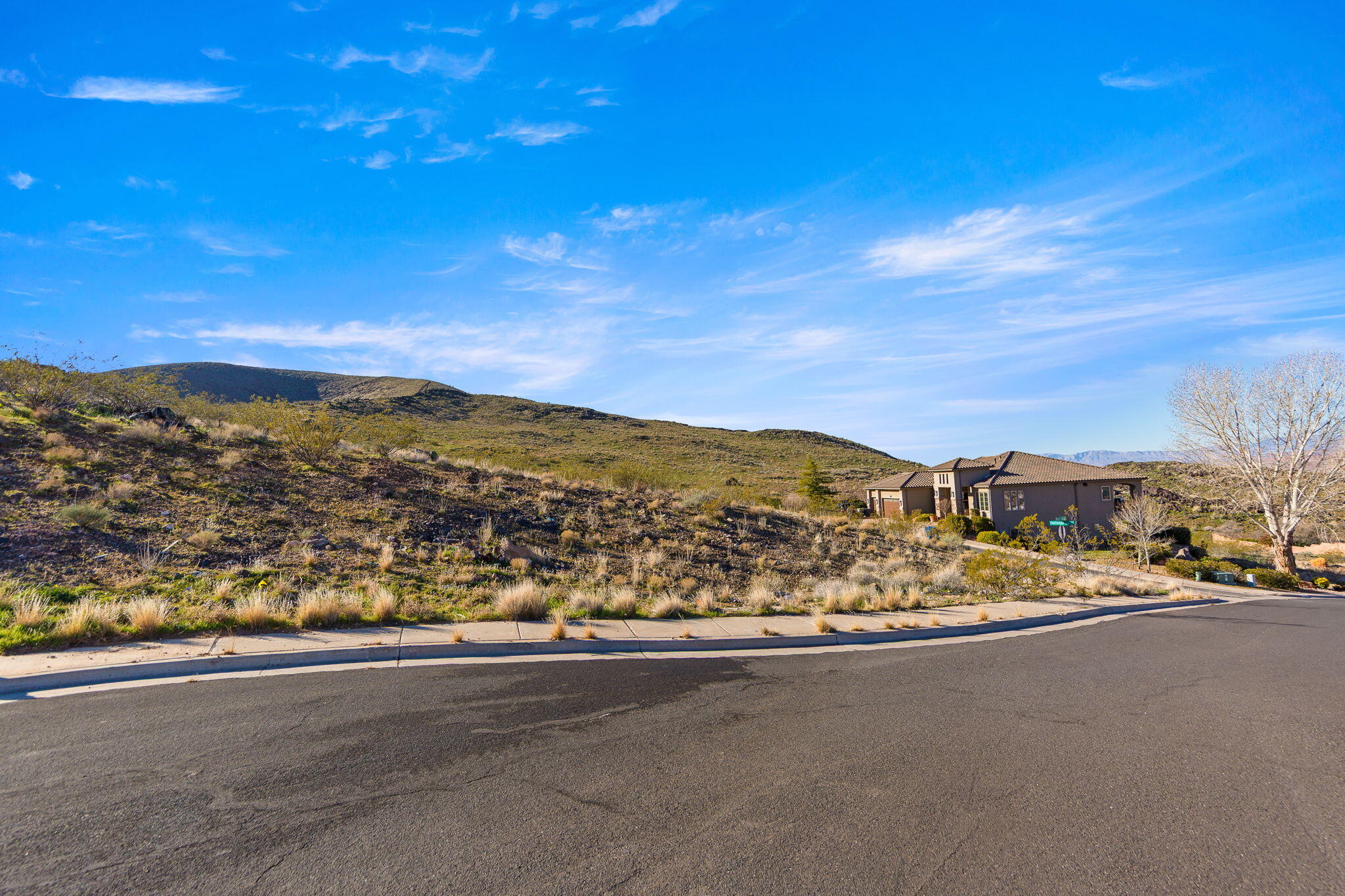 PAINTED HILLS RLINGTON HEIGHTS - Land