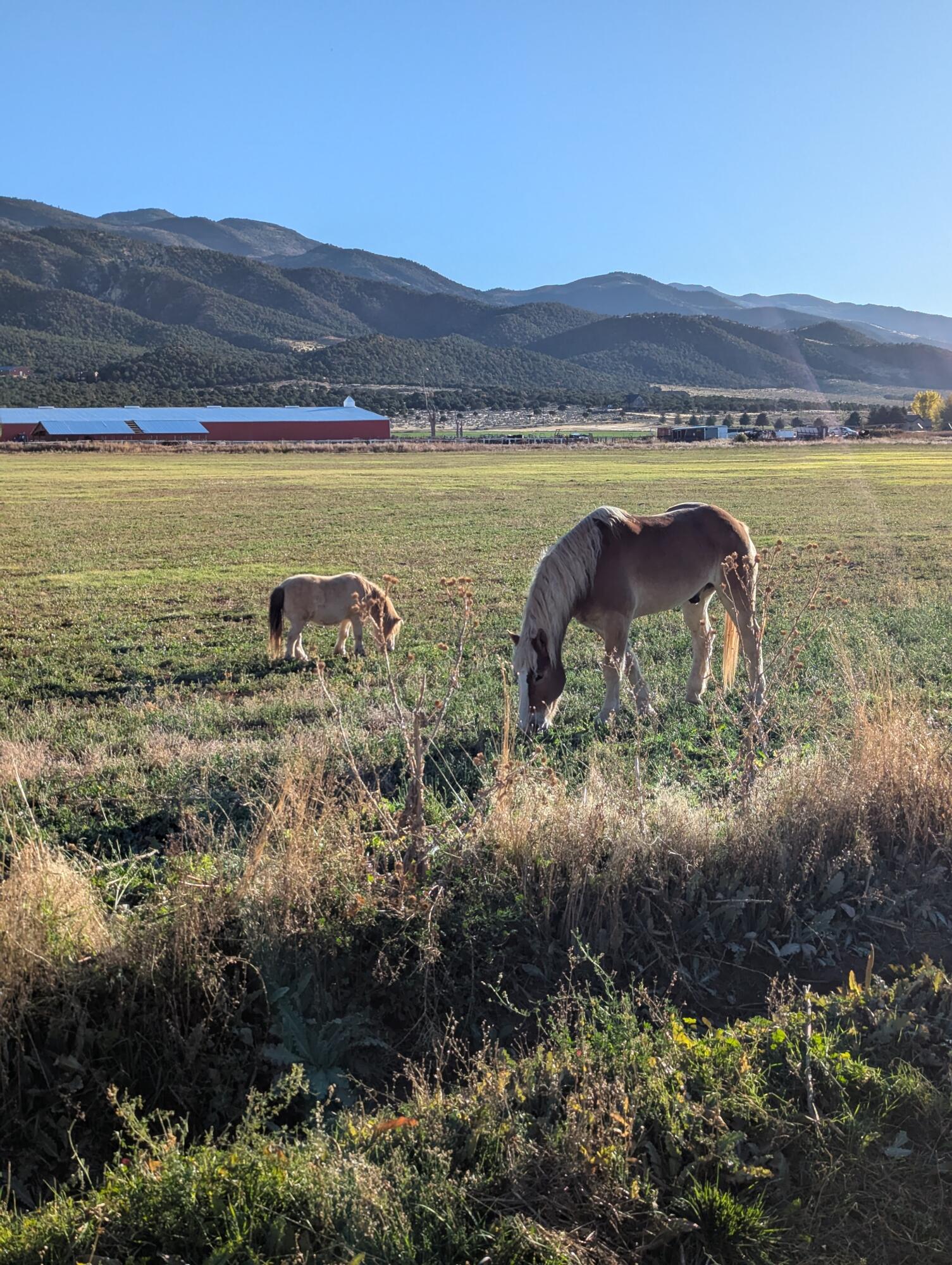 NOT AVAILABLE - Land