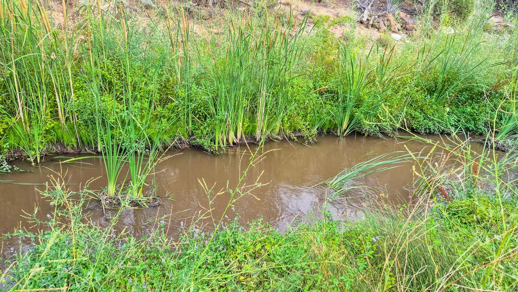 Photo of E Veyo Resort RD 7158-B-1-NW #7158-B-1-NW, Veyo, UT 84782 (MLS # 26-275091)