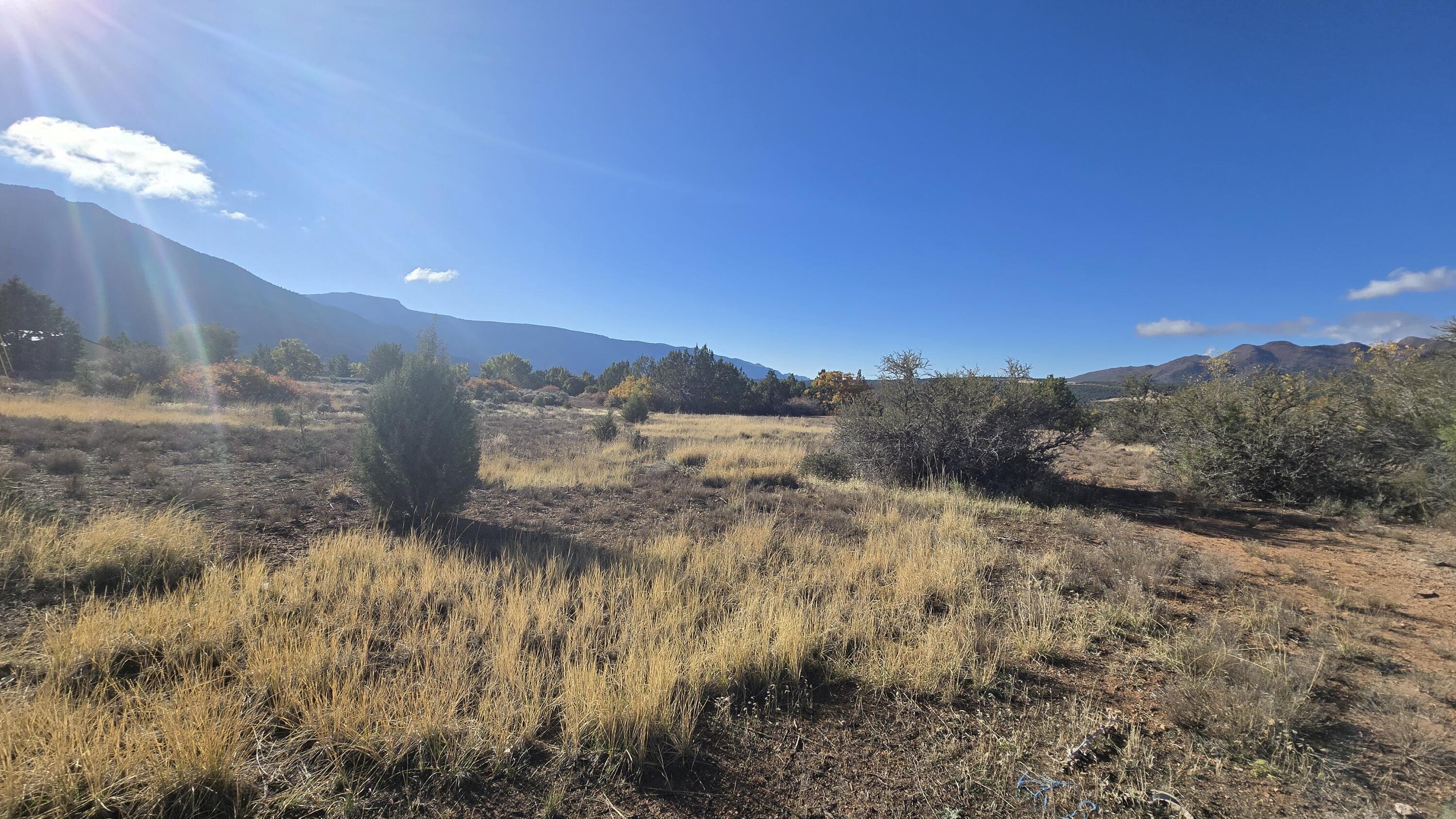 BLACKRIDGE RANCHES - Land