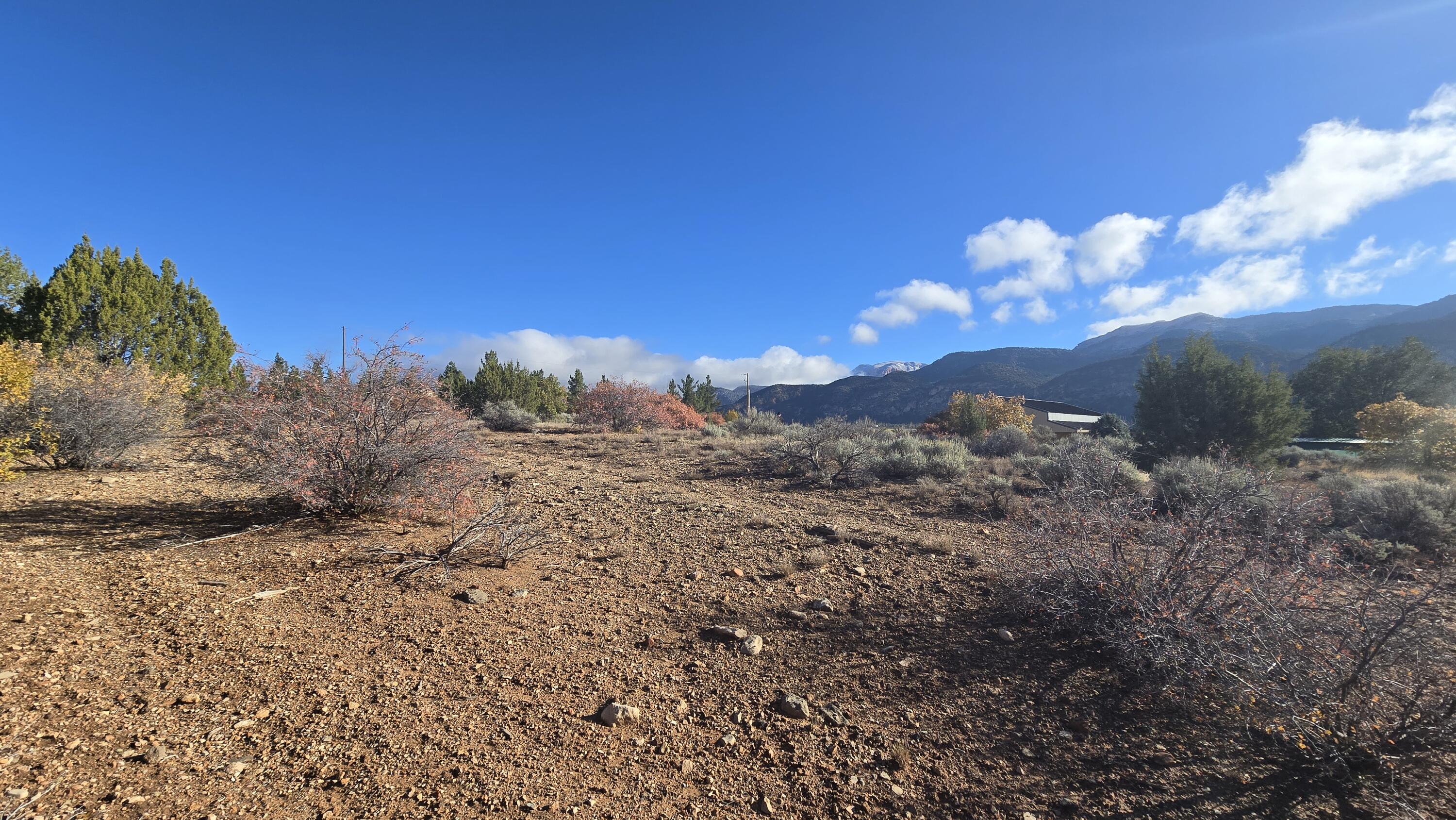 BLACKRIDGE RANCHES - Land