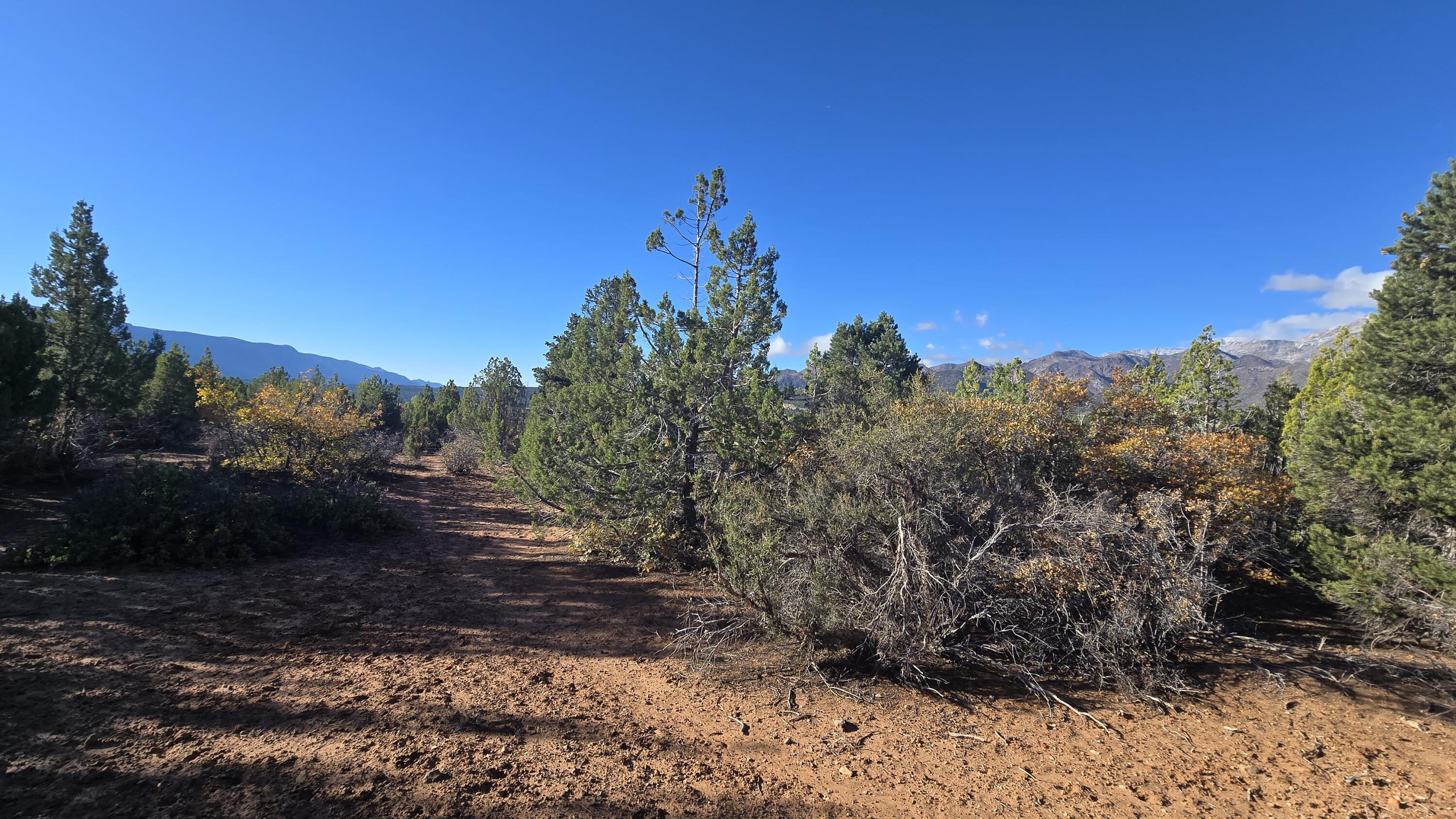 BLACKRIDGE RANCHES - Land