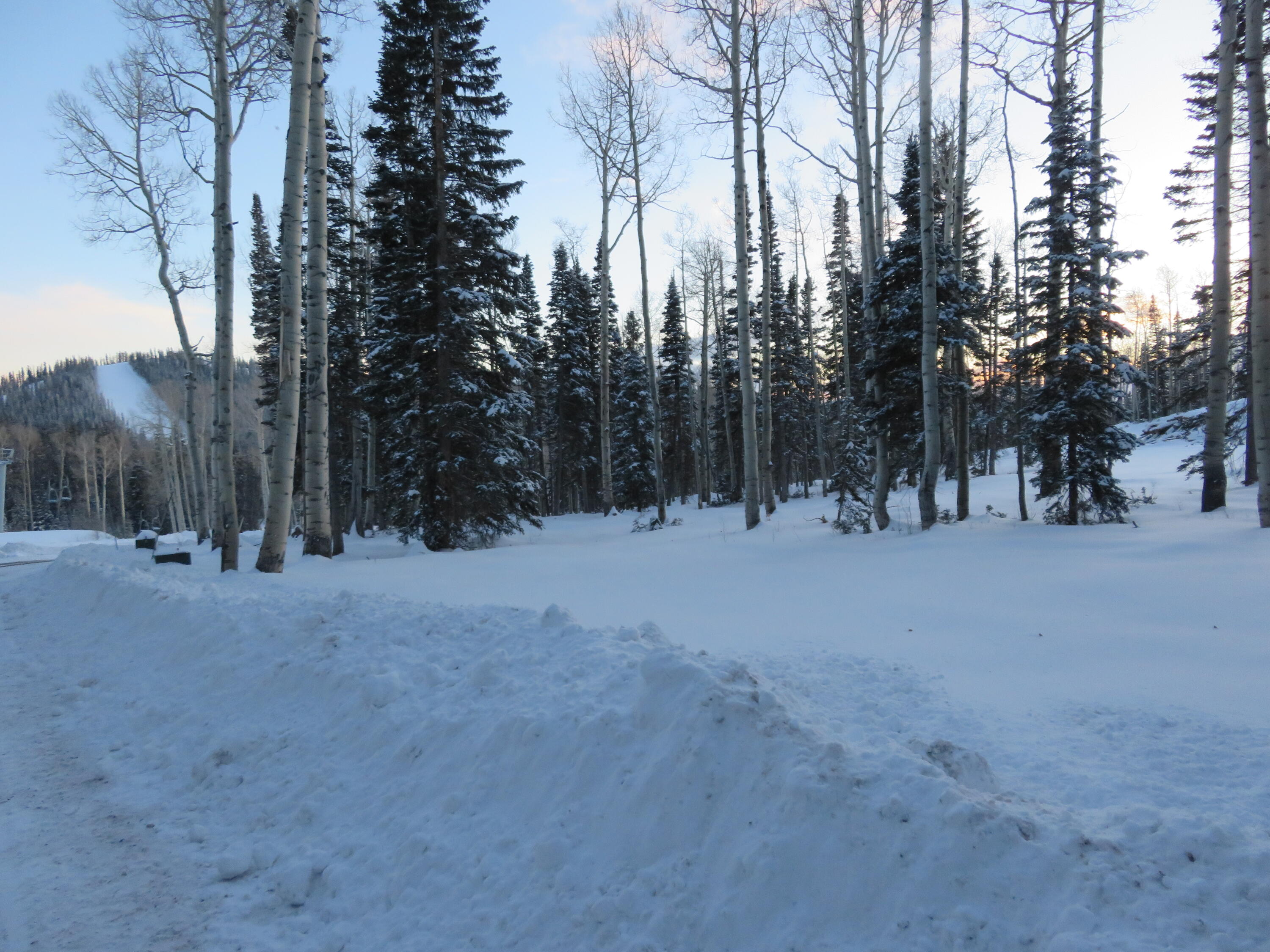 Tushar Mountain Estates - Land