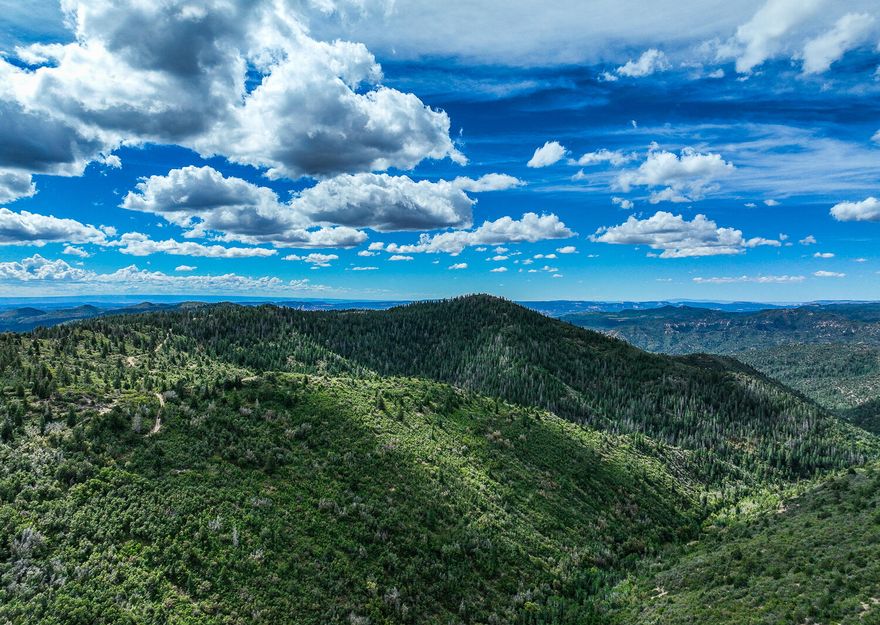 There are four Approx. 40 acre parcels. The parcels are 9-8-26-1, 1A, 1G, 1H. 
Amazing property located just south of Swains creek in the Duck Creek area. The property in mountainous, flat with beautiful canyons. There is a well on the property tat is approx. 900 ft deep with water at the 700 ft. level. 
Road to and through the property. The are several really nice spots where a cabin could be built. from the high spot you can see Kanab, Zion National park, and even further. top is approx. 8200 ft elevation. 
2.5 acre ft of water comes with this property. If you know property in this area you know that this is a deal.