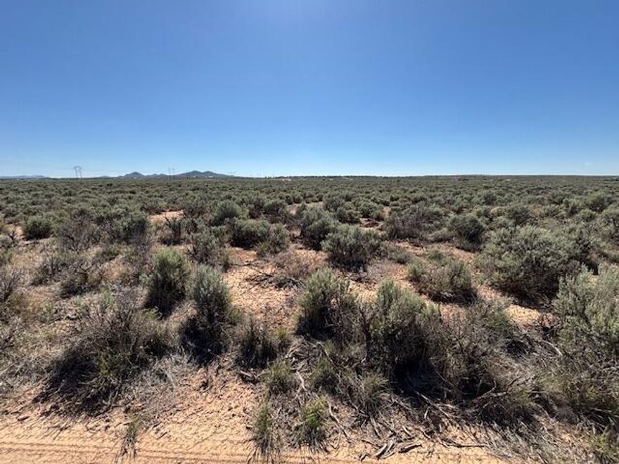 1.25 Acre lot in Cedar Valley Acres, great views of the mountains and valley, close to Three Peaks recreation area, animal rights, no utilities to the property, could be used for off grid living. Come get away from the hustle and bustle!