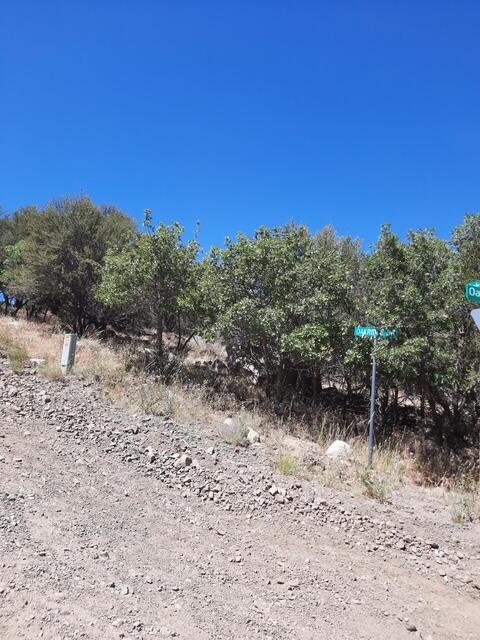 PINE VALLEY RANCHOS - Land