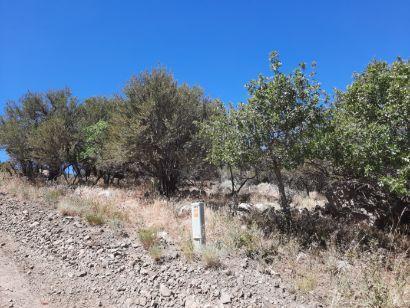 PINE VALLEY RANCHOS - Land