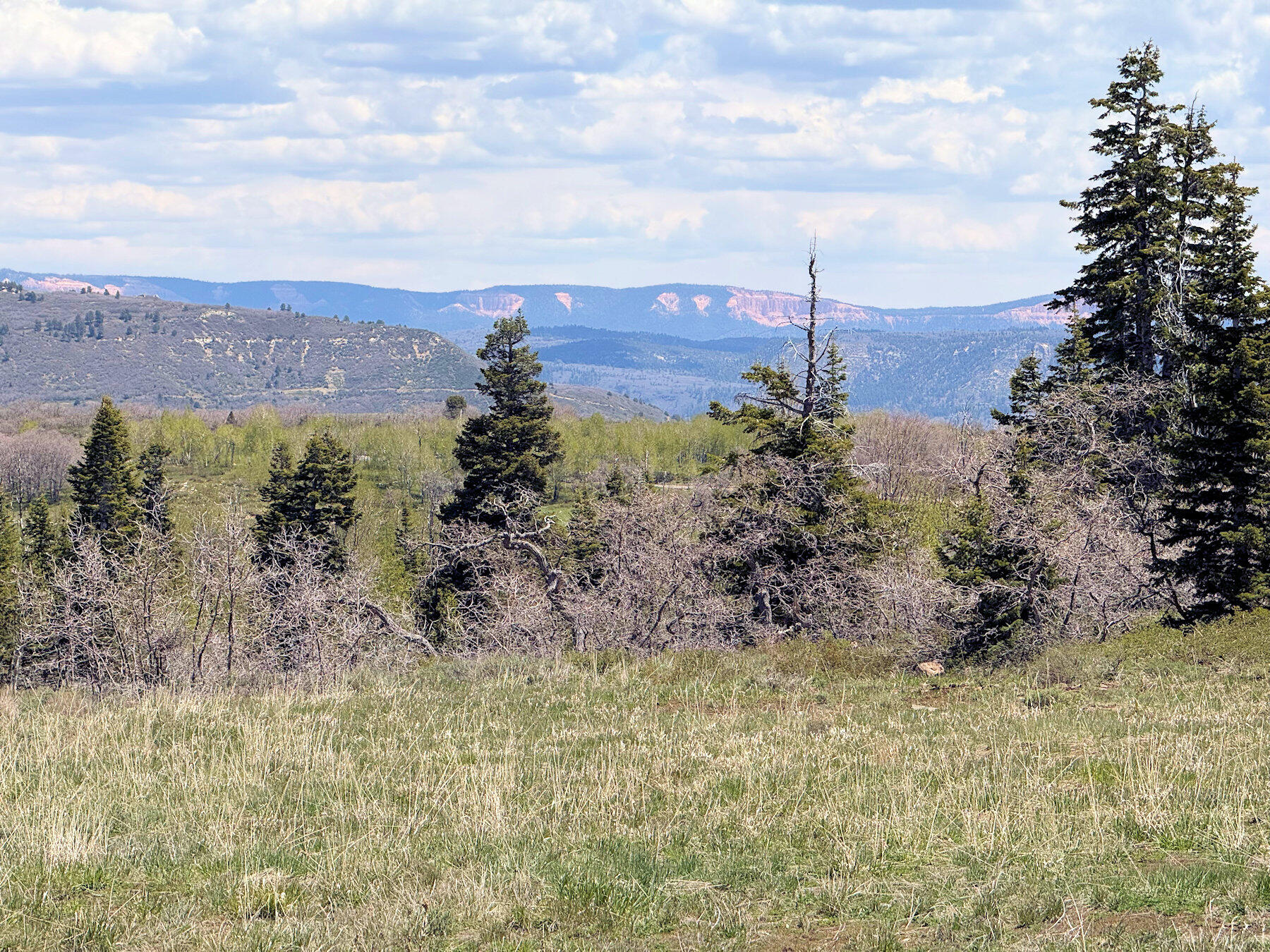 WHISPERING PINES SUB - Land