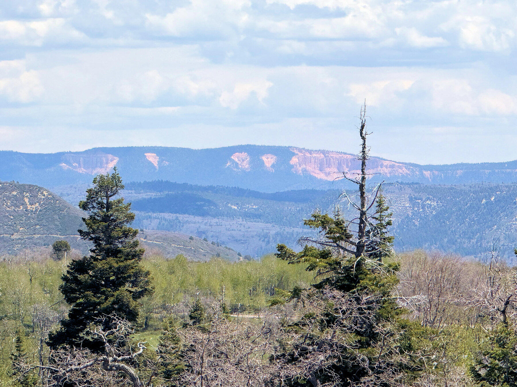 WHISPERING PINES SUB - Land