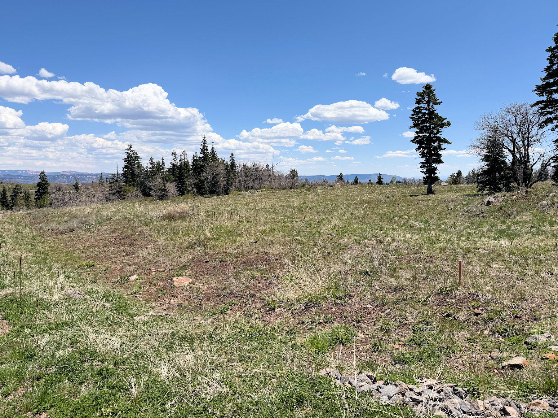 WHISPERING PINES SUB - Land