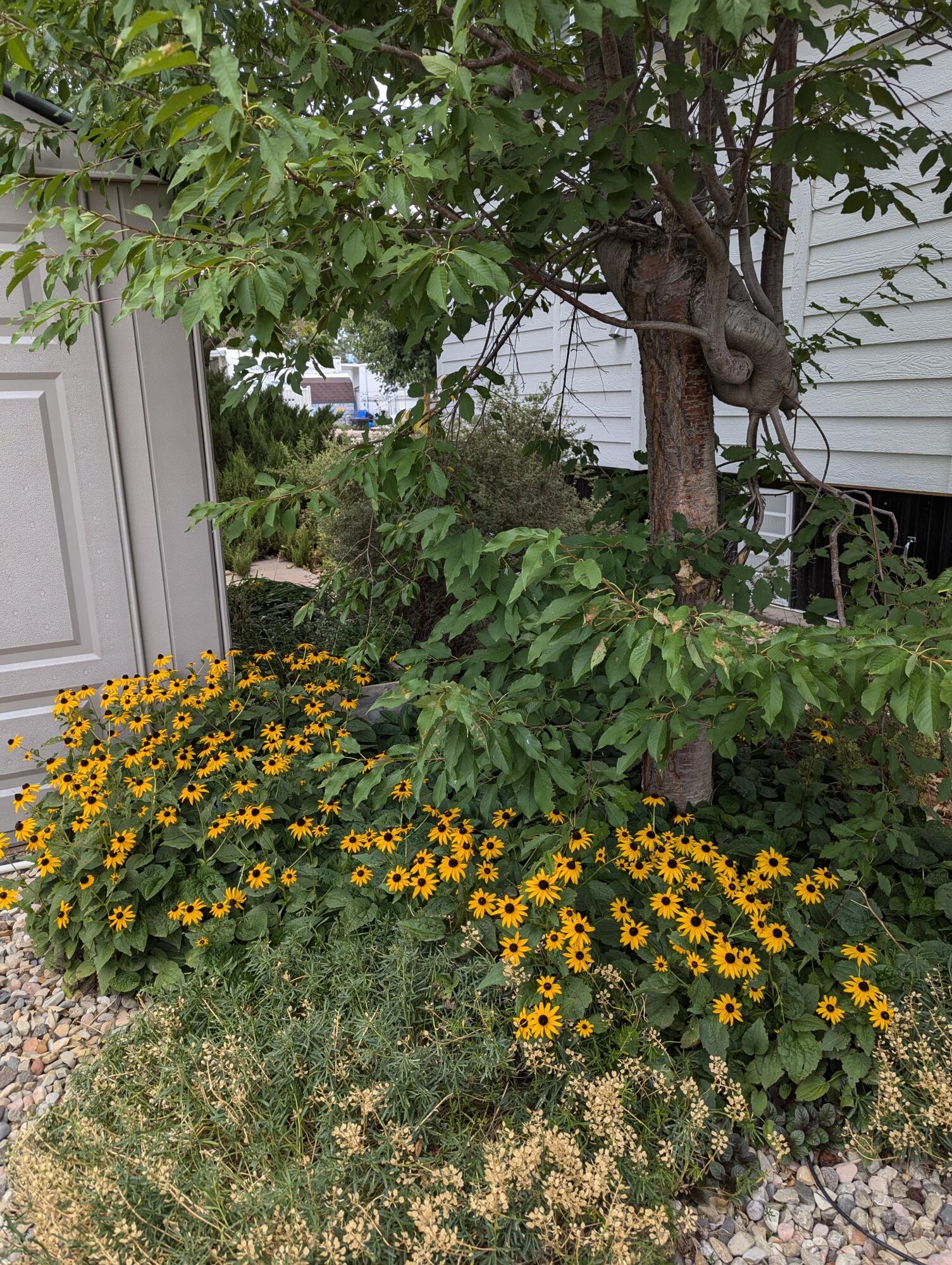 NOT AVAILABLE - Land