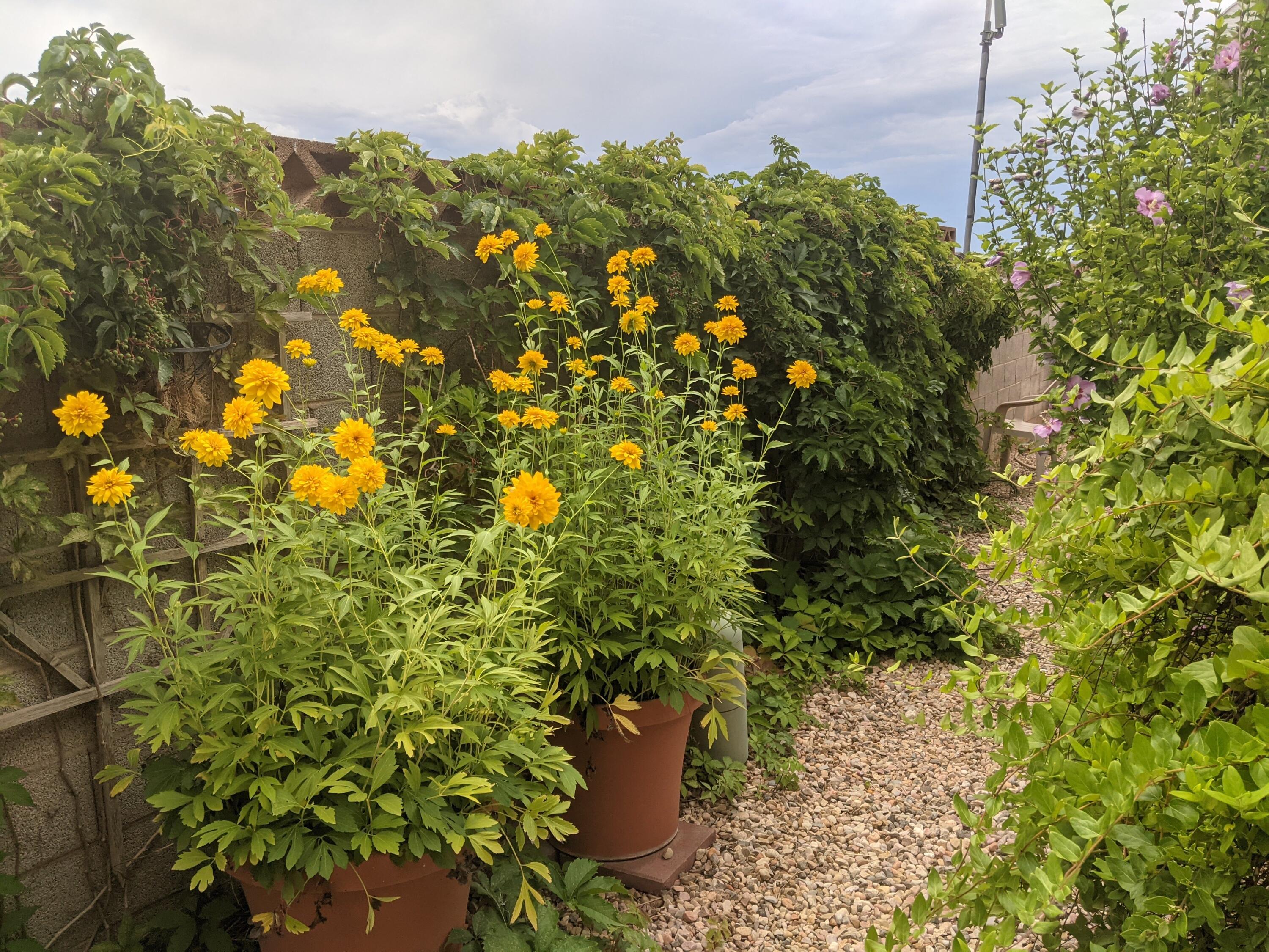 NOT AVAILABLE - Land