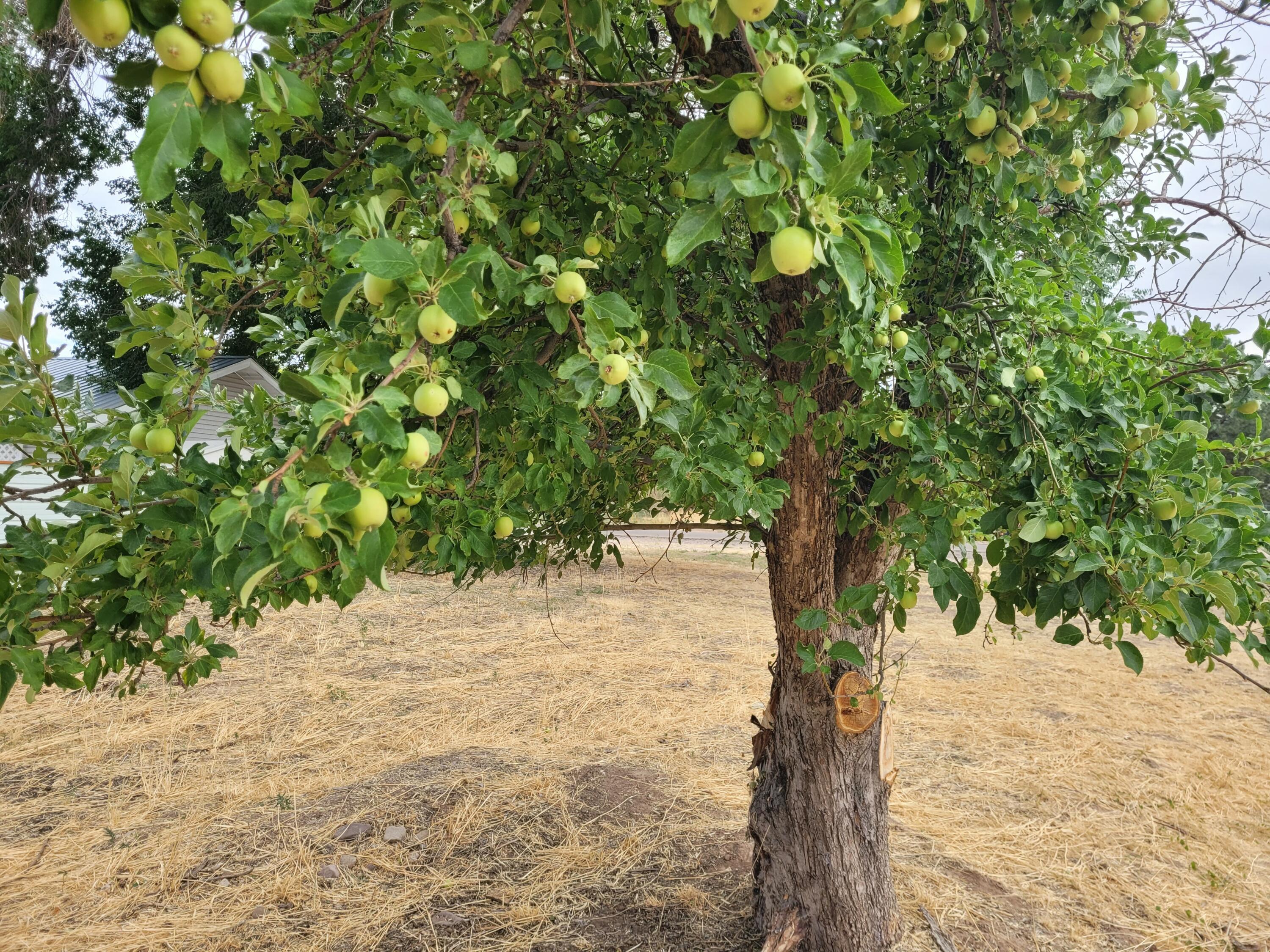 ENTERPRISE TOWNSITE - Land