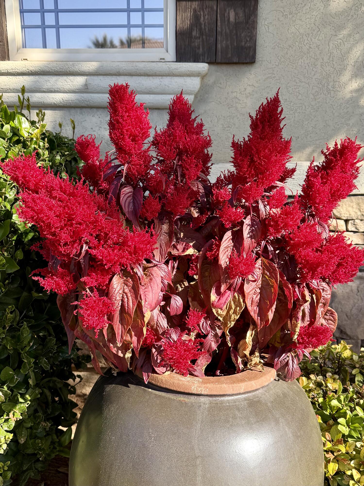 COUNTRY LANE ESTATES SOUTH - Residential